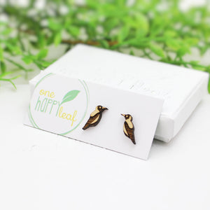 Australian bird magpie earrings